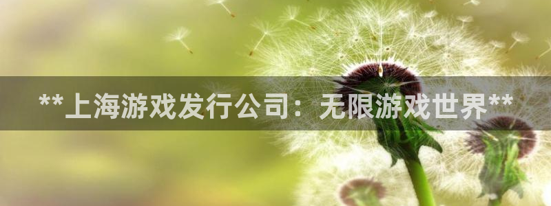 新宝gg官网客户端下载：**上海游戏发行公司：无限游戏世界**