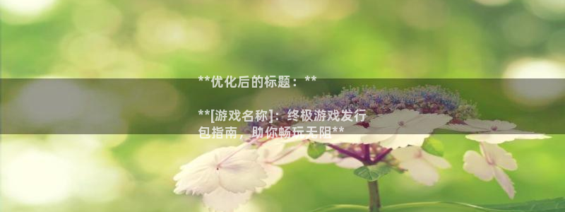 新宝gg一创造奇迹用户登录：**优化后的标题：**

**[游戏名称]：终极游戏发行
包指南，助你畅玩无阻**