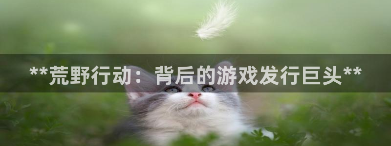 新宝gg为什么登不上去了：**荒野行动：背后的游戏发行巨头**