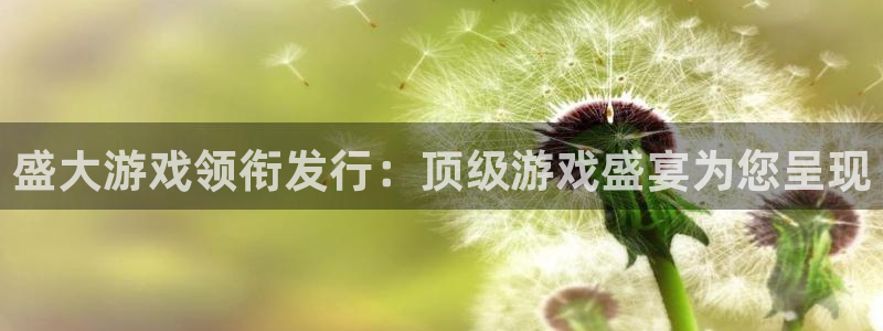 新宝gg一创造奇迹：盛大游戏领衔发行：顶级游戏盛宴为您呈现