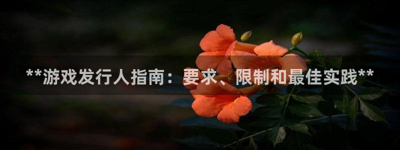 新宝gg创造奇迹会员注册登录：**游戏发行人指南：要求、限制和最佳实践**