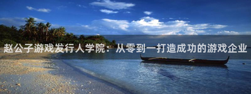 新宝gg平台注册登录指南：赵公子游戏发行人学院：从零到一打造成功的游戏企业