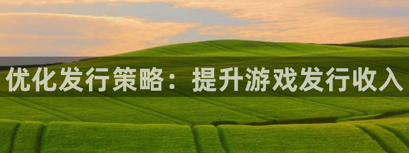 新宝gg—创造奇迹注册：优化发行策略：提升游戏发行收入