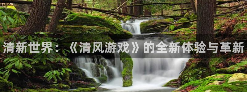 新宝gg—创造奇迹官网：清新世界：《清风游戏》的全新体验与革新