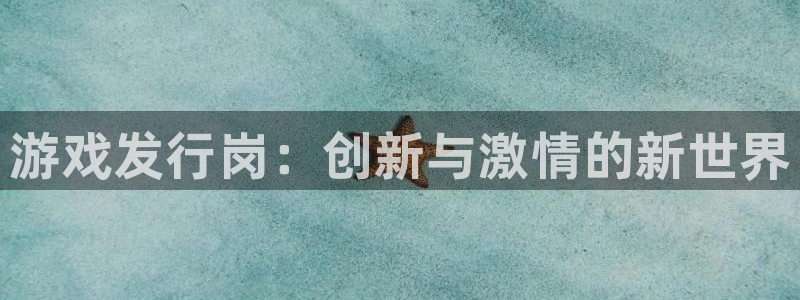 新宝gg—创造奇迹登录：游戏发行岗：创新与激情的新世界