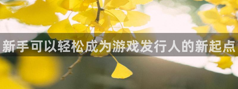 新宝gg平台—创造奇迹：新手可以轻松成为游戏发行人的新起点