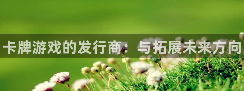 新宝gg平台登录手机版：卡牌游戏的发行商：与拓展未来方向