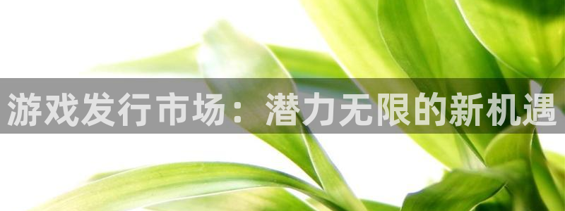 新宝gg：游戏发行市场：潜力无限的新机遇