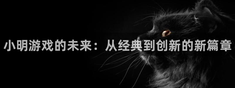 新宝gg登录不上去了：小明游戏的未来：从经典到创新的新篇章