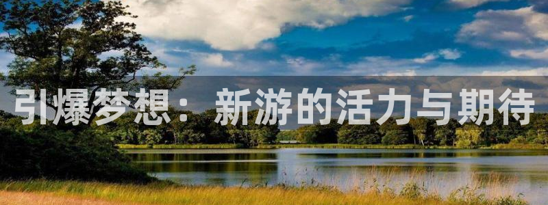 新宝gg登录不了是什么原因：引爆梦想：新游的活力与期待